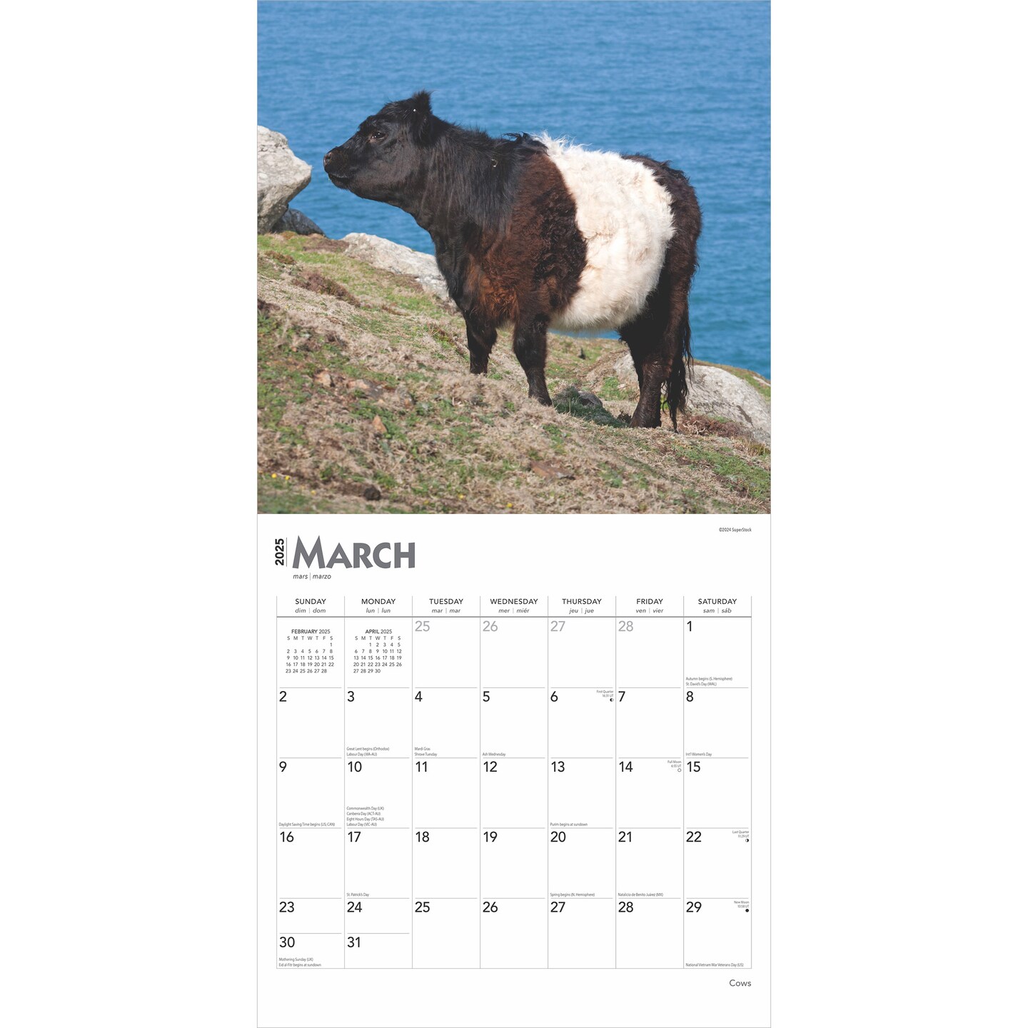 Cows | 2025 12 x 24 Inch Monthly Square Wall Calendar | Plastic-Free | BrownTrout | Domestic Farm Animals