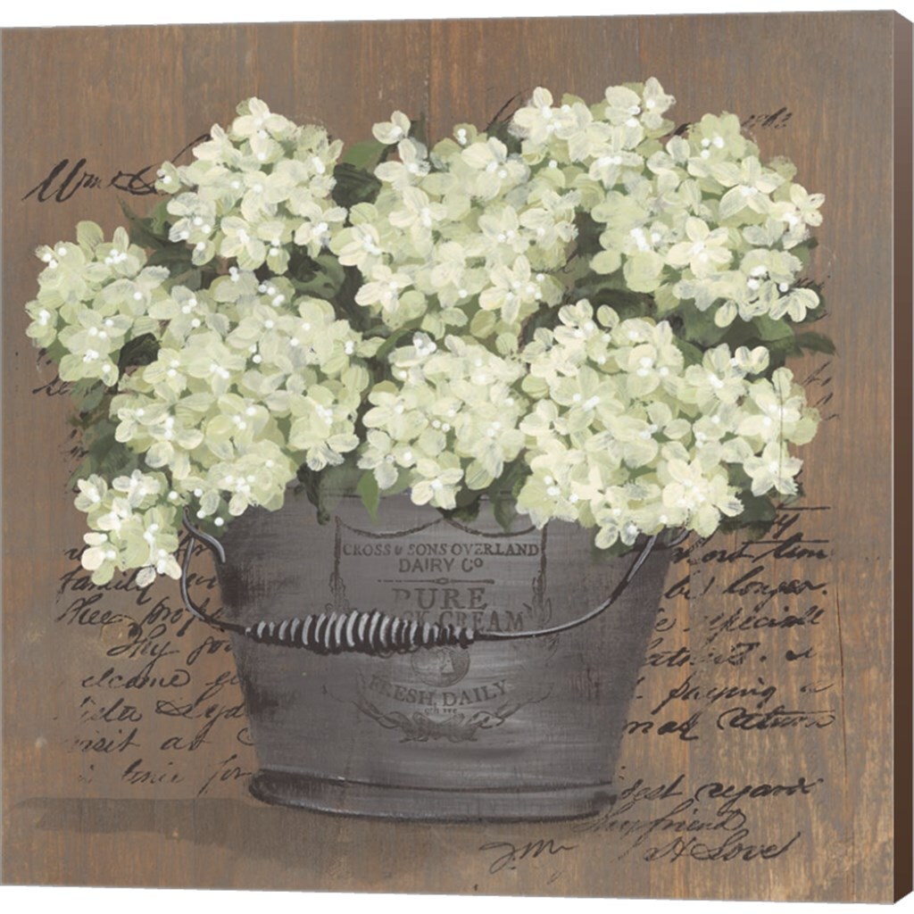 Heavenly Hydrangeas II by Julie Norkus 24" x 24" Canvas Wall Art