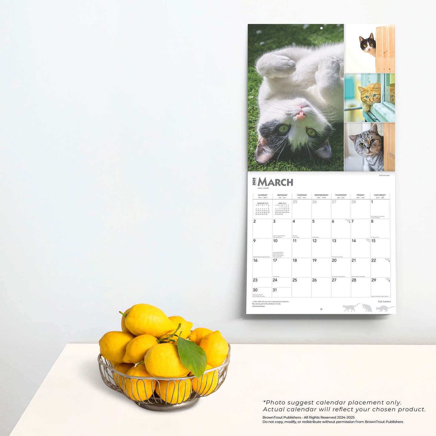 Cat Lovers | 2025 12 x 24 Inch Monthly Square Wall Calendar | Foil Stamped Cover | Plastic-Free | BrownTrout | Animals Domestic Kittens Feline