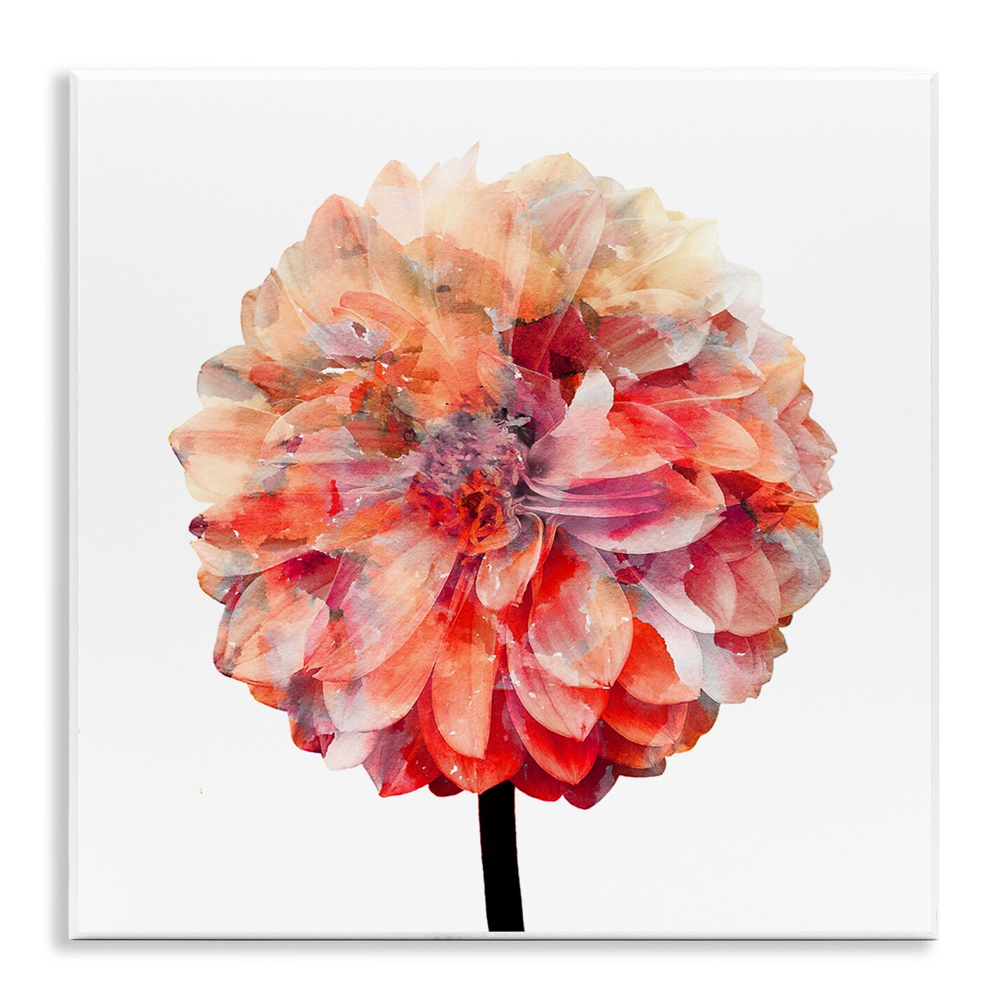 Stupell Industries Bright Coral Watercolor Bloom Wall Plaque Art