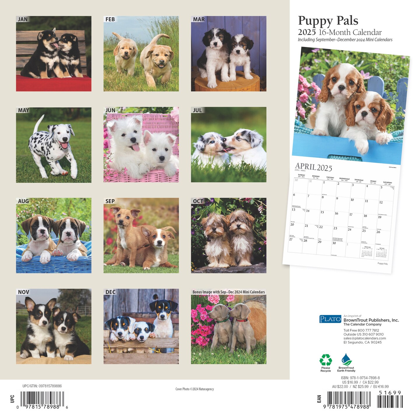 Puppy Pals | 2025 12 x 24 Inch Monthly Square Wall Calendar | Foil Stamped Cover | Plato | Animals Dog Breeds Pets