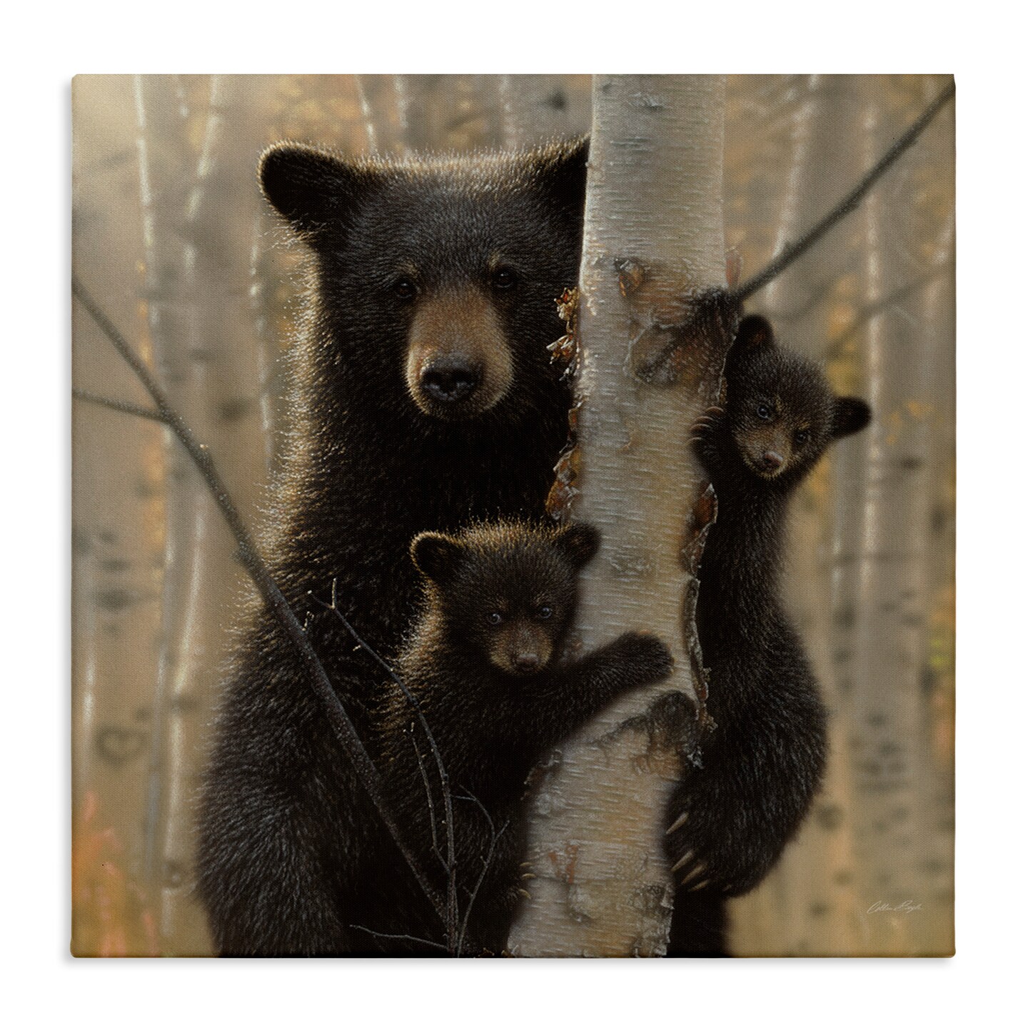 Stupell Industries Forest Black Bear and Cubs Canvas Wall Art