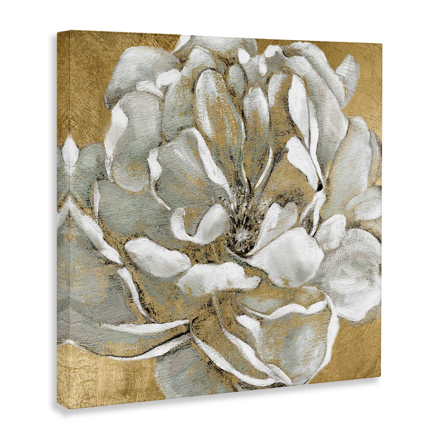 Stupell Industries Blushing White Magnolia Flower Abstract Canvas Wall Art