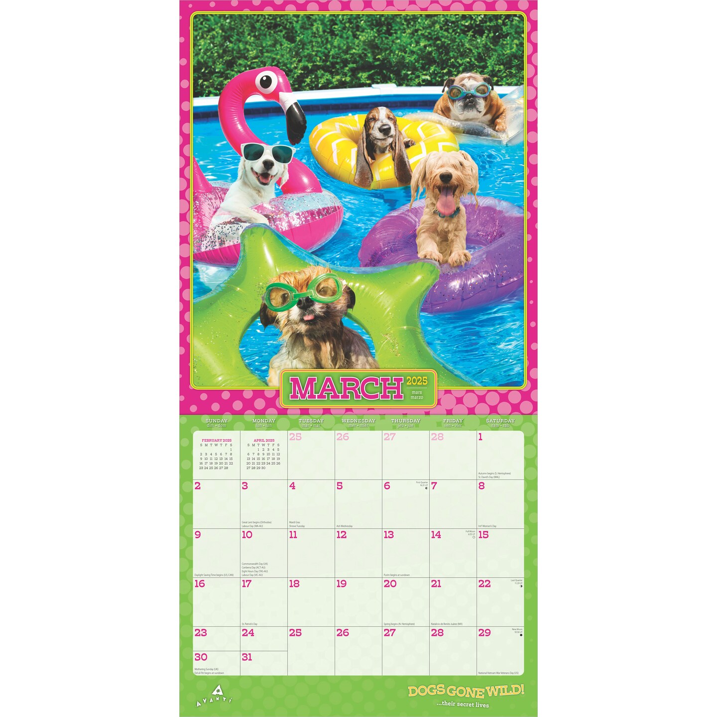 Avanti Dogs Gone Wild OFFICIAL | 2025 12 x 24 Inch Monthly Square Wall Calendar | Plastic-Free | BrownTrout | Canine Pet Humor
