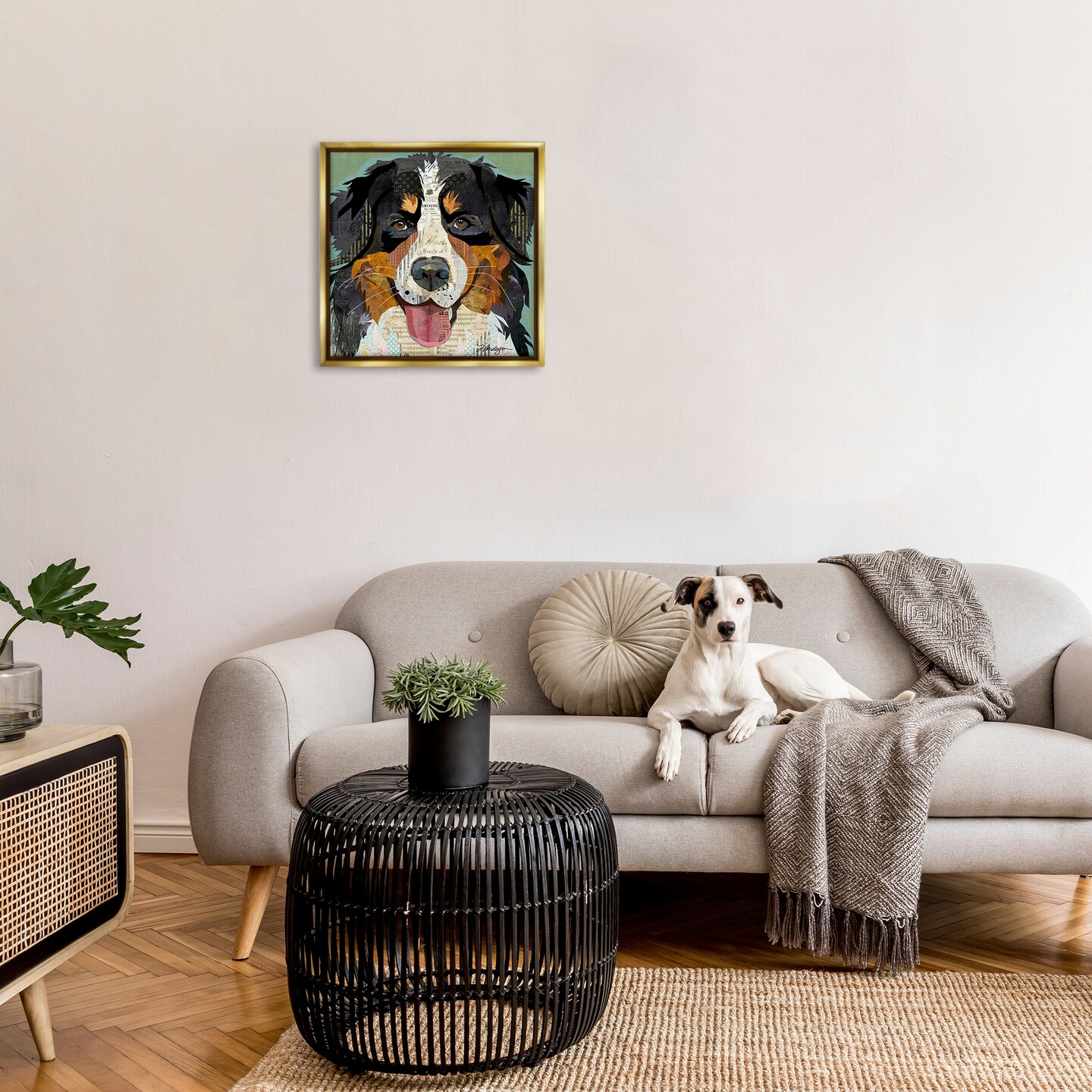 Stupell Industries Bernese Mountain Dog Collage Framed Floater Canvas Wall Art