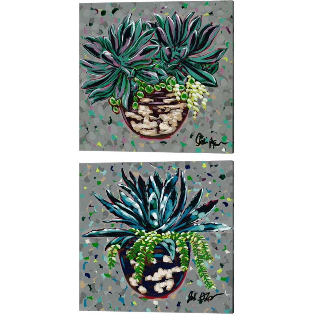Succulent Pot by Jodi Augustine 14" x 14" Canvas Wall Art (Set of 2)