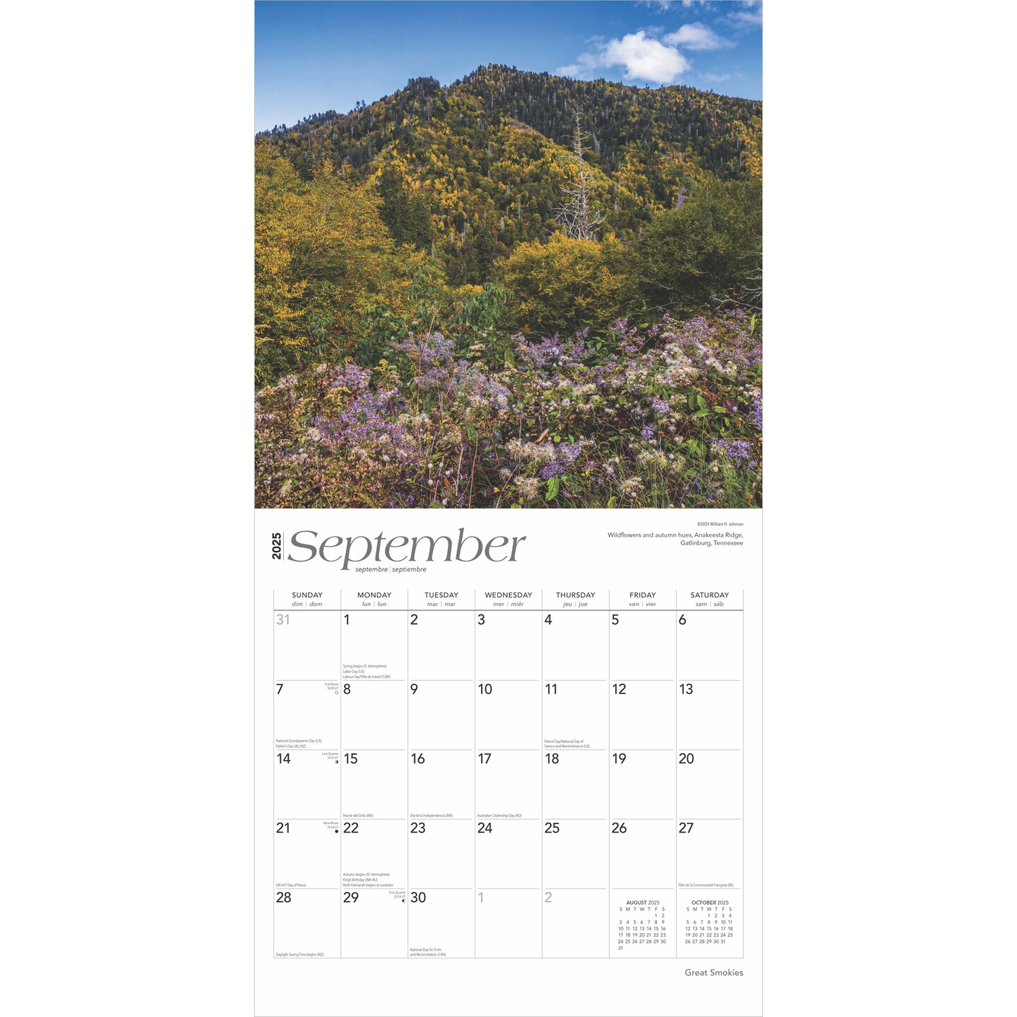 Great Smokies | 2025 12 x 24 Inch Monthly Square Wall Calendar | Plastic-Free | BrownTrout | USA United States of America Scenic Nature Mountain