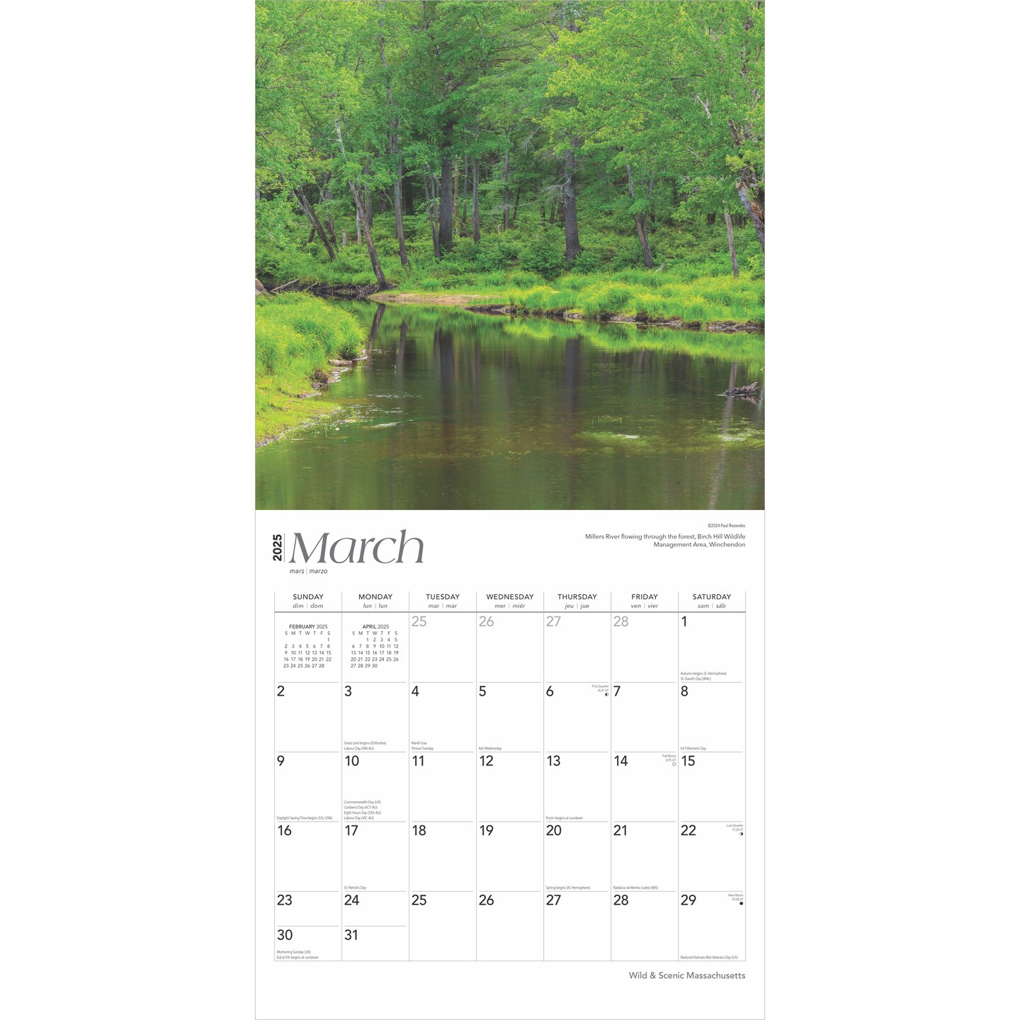 Massachusetts Wild &#x26; Scenic | 2025 12 x 24 Inch Monthly Square Wall Calendar | Plastic-Free | BrownTrout | USA United States of America Northeast State Nature