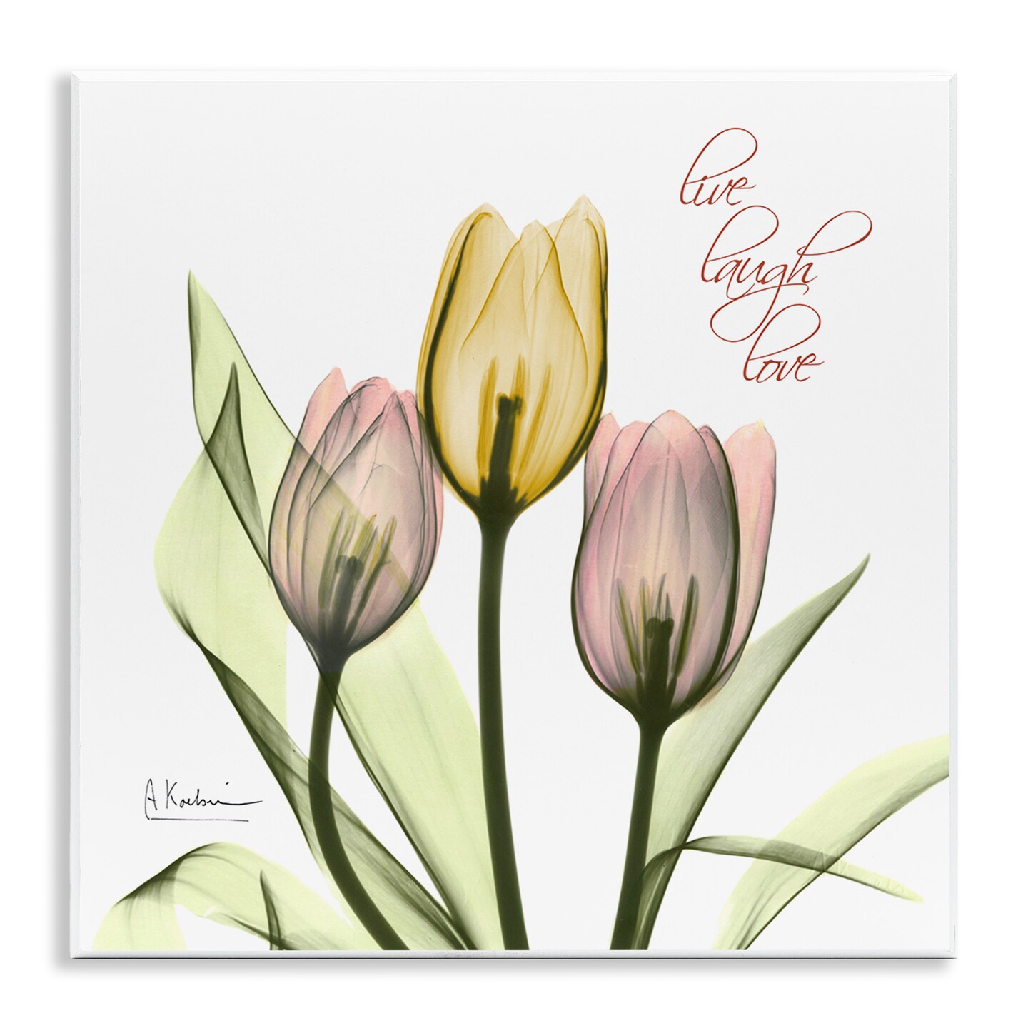 Stupell Industries Live Laugh Love Tulips Wall Plaque Art