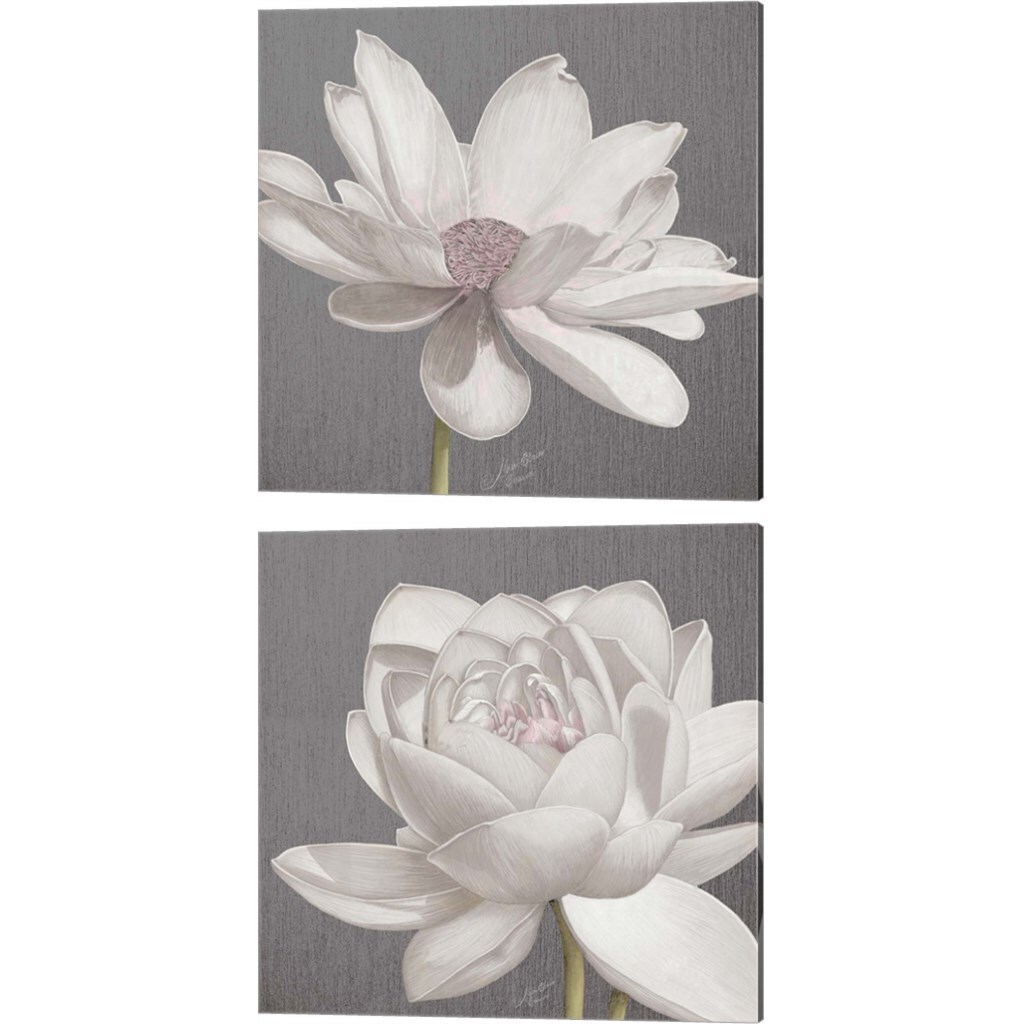 Vintage Lotus on Grey by Marie-Elaine Cusson 14" x 14" Canvas Wall Art (Set of 2)