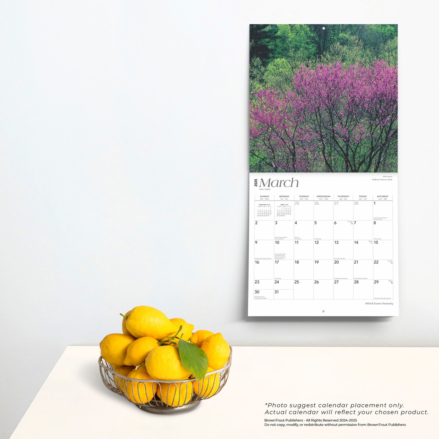 Kentucky Wild &#x26; Scenic | 2025 12 x 24 Inch Monthly Square Wall Calendar | Plastic-Free | BrownTrout | USA United States of America Southeast State Nature