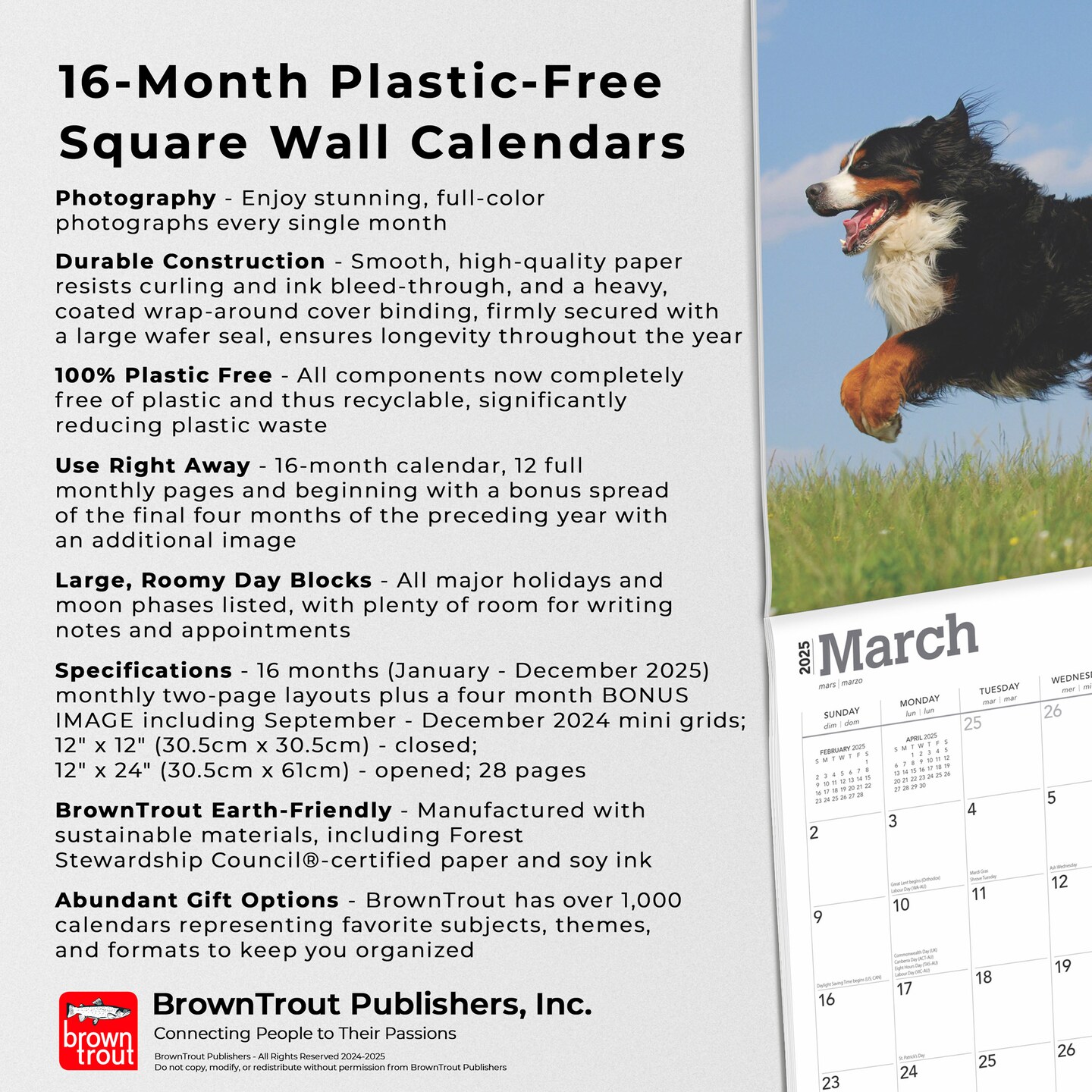 Bernese Mountain Dogs | 2025 12 x 24 Inch Monthly Square Wall Calendar | Plastic-Free | BrownTrout | Animals Breeds
