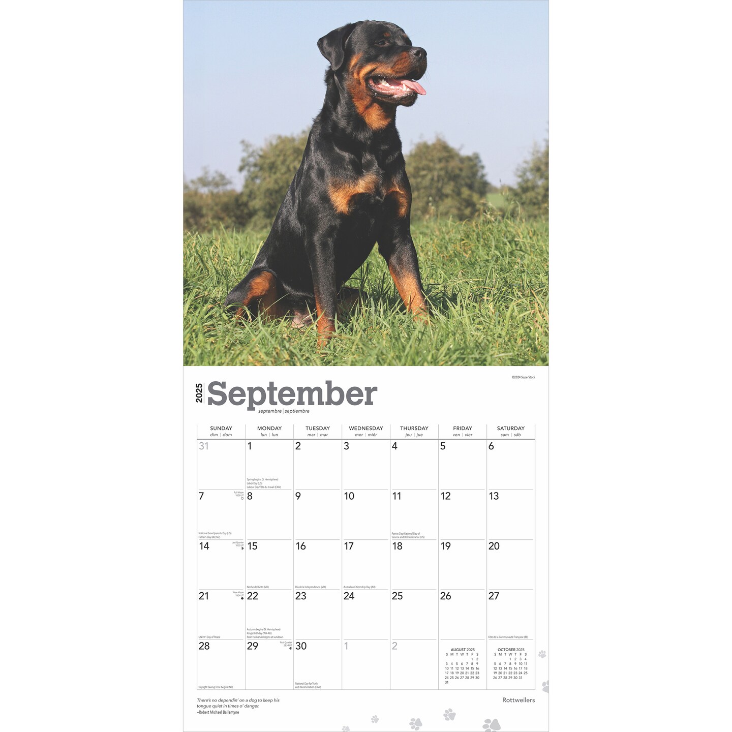 Rottweilers | 2025 12 x 24 Inch Monthly Square Wall Calendar | Plastic-Free | BrownTrout | Animals Dog Breeds
