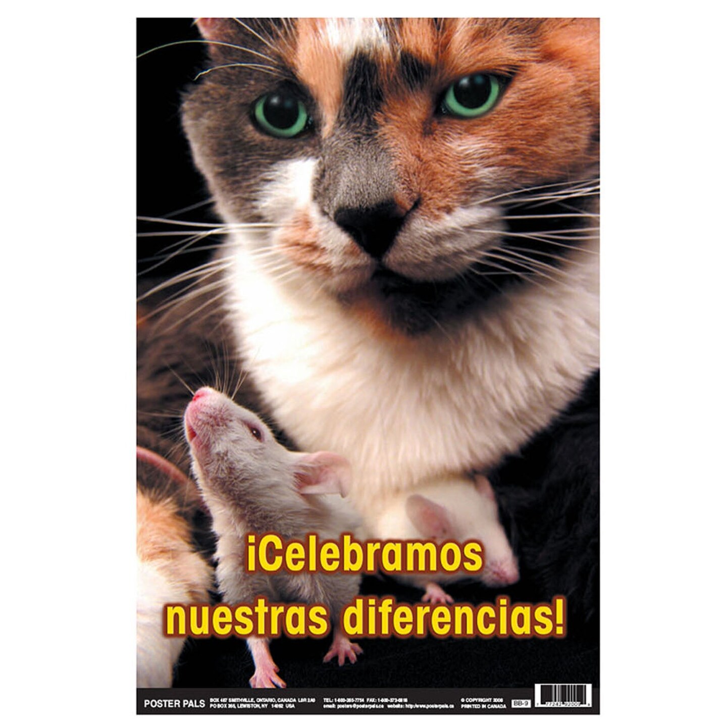 Spanish Fun Photo Posters, Set #10