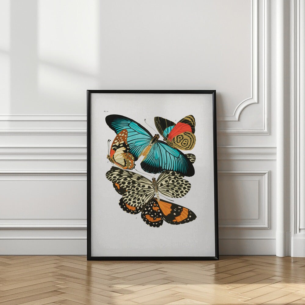 Butterflies 1 Framed Art Wall Decor