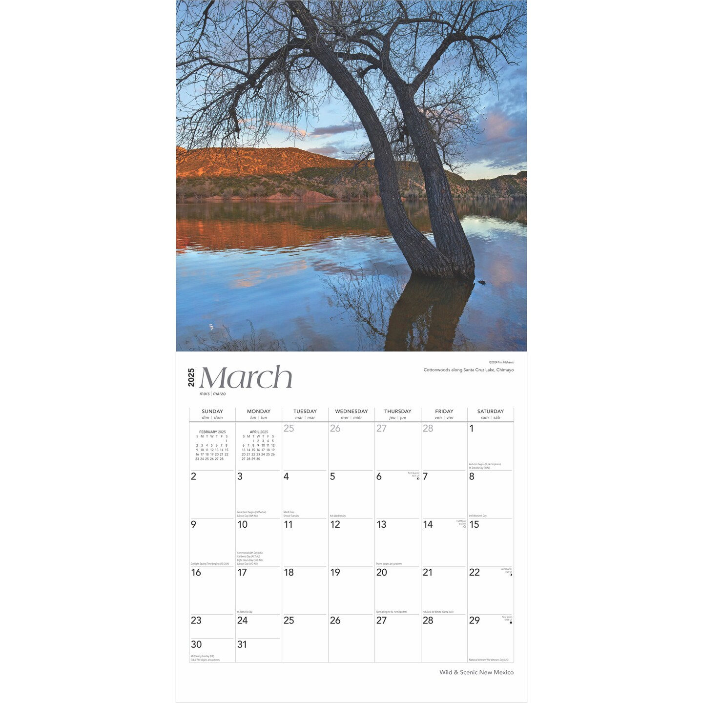 New Mexico Wild &#x26; Scenic | 2025 12 x 24 Inch Monthly Square Wall Calendar | Plastic-Free | BrownTrout | USA United States of America Southwest State Nature