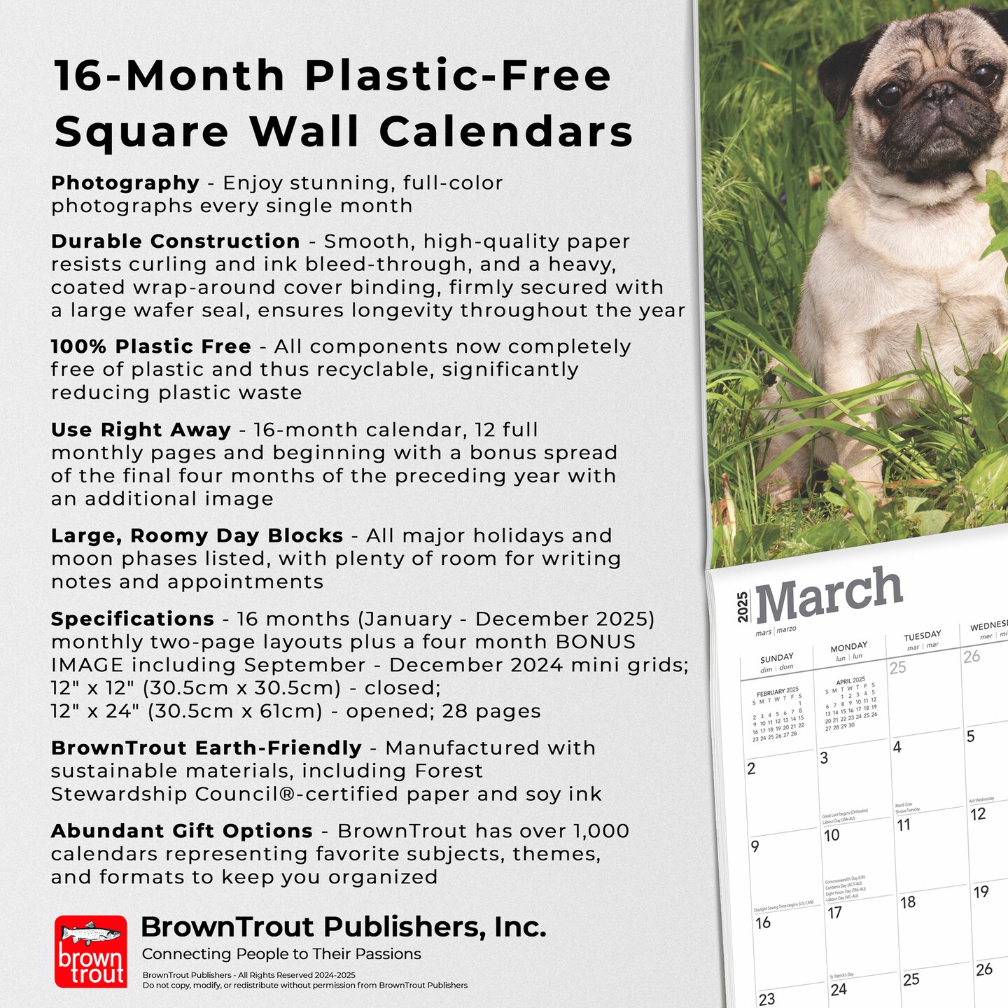 Pugs | 2025 12 x 24 Inch Monthly Square Wall Calendar | Plastic-Free | BrownTrout | Animals Dog Breeds