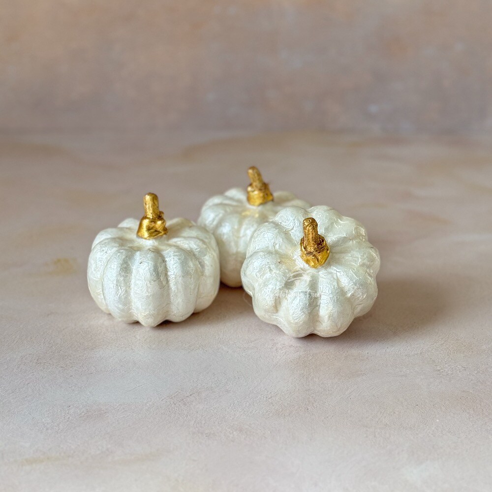 Capiz Ivory Pumpkin - Final sale / Non-returnable and Non-refundable