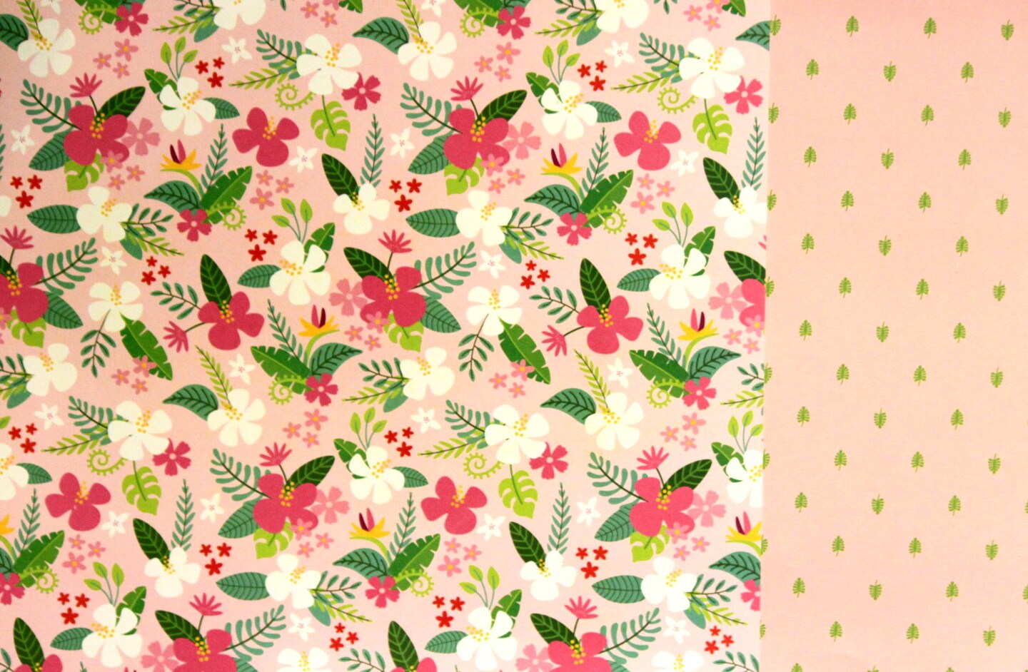 Jen Hadfield Chasing Adventures/Tropical Delight 12 x 12 Double-sided Cardstock