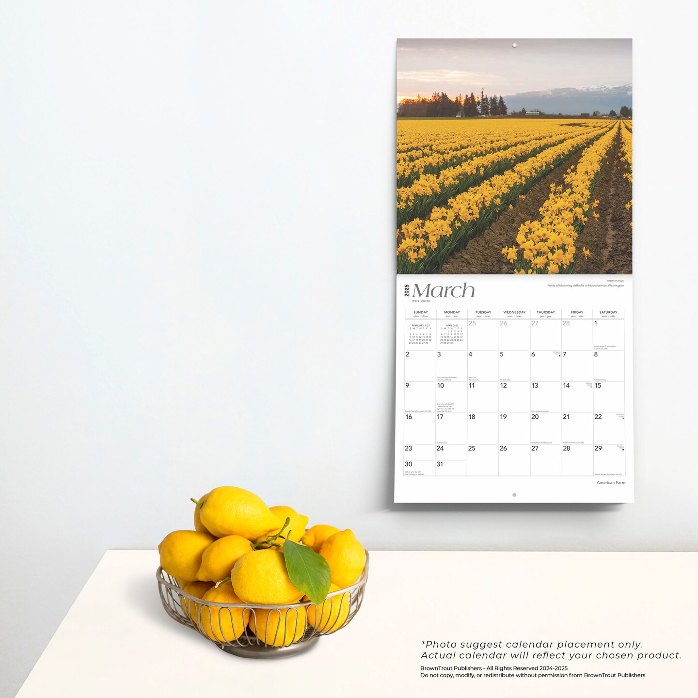 American Farm | 2025 12 x 24 Inch Monthly Square Wall Calendar | Plastic-Free | BrownTrout | USA United States Scenic Rural