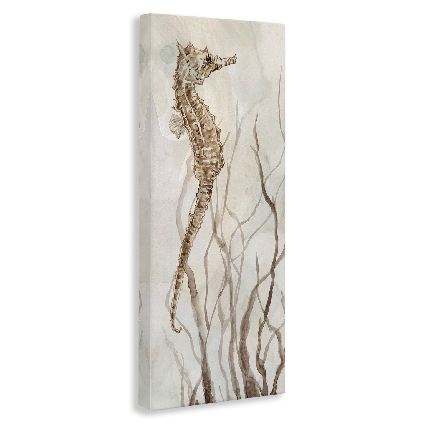 Stupell Industries Vigilant Seahorse Ocean Wildlife Canvas Wall Art