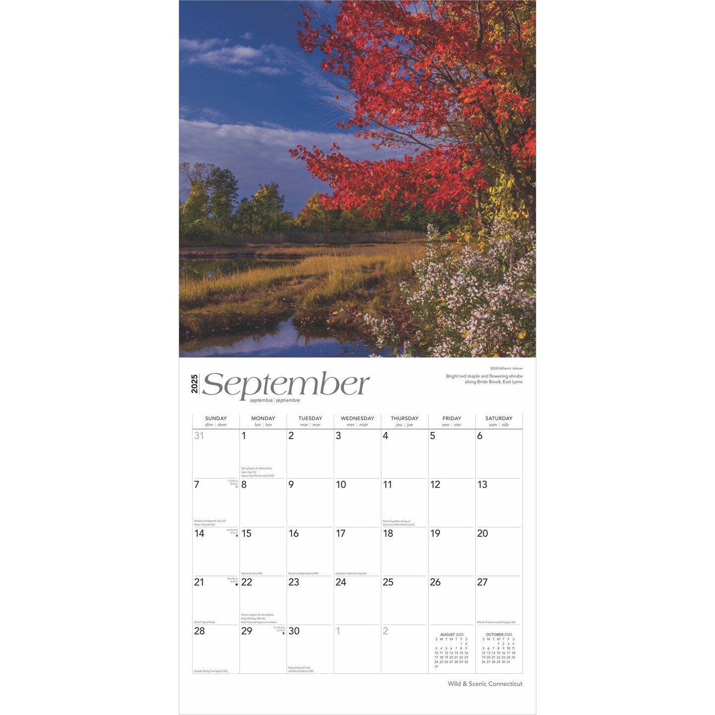 Connecticut Wild &#x26; Scenic | 2025 12 x 24 Inch Monthly Square Wall Calendar | Plastic-Free | BrownTrout | USA United States of America Northeast State Nature