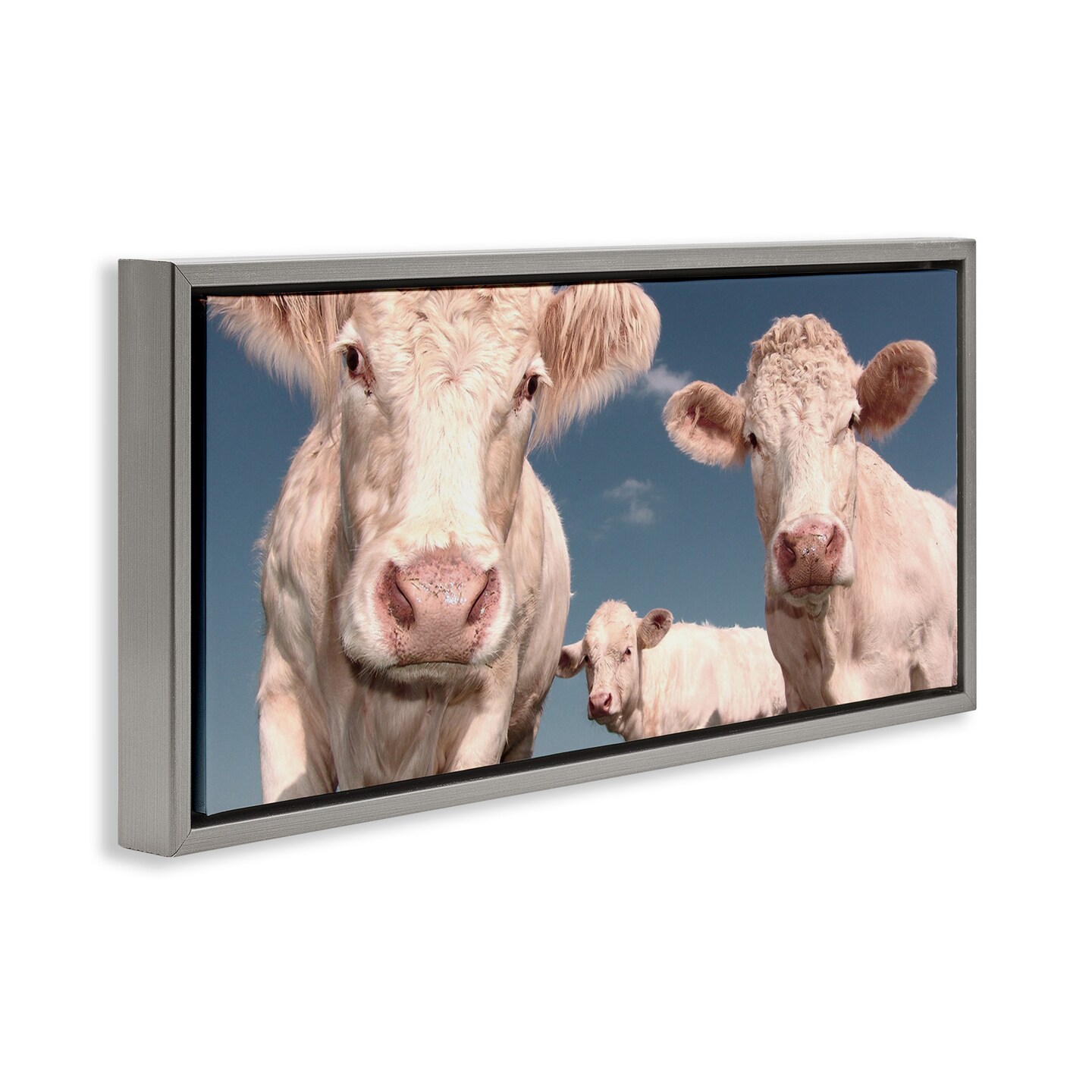Stupell Industries Three White Cows Framed Floater Canvas Wall Art
