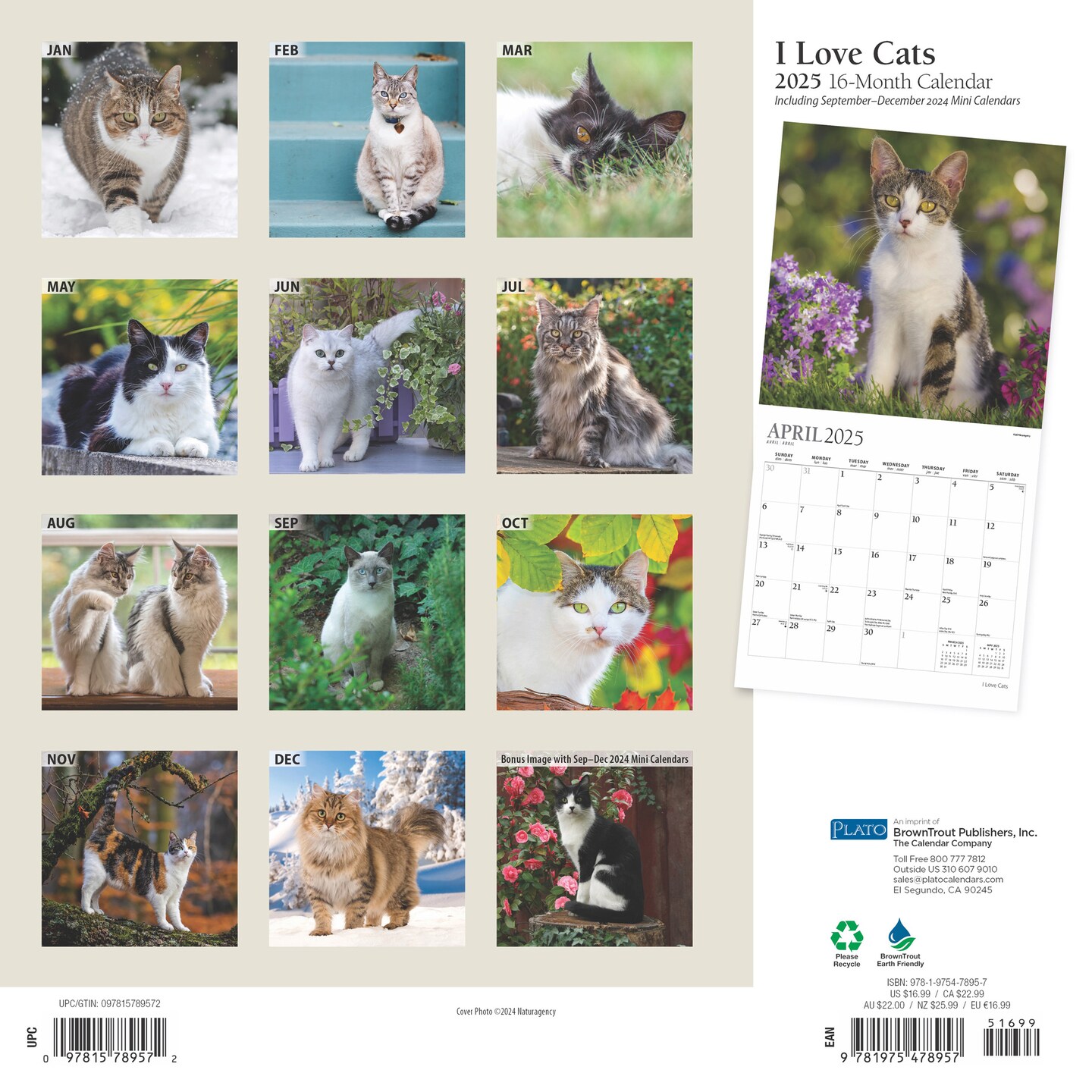I Love Cats | 2025 12 x 24 Inch Monthly Square Wall Calendar | Foil Stamped Cover | Plato | Feline Kittens Pets