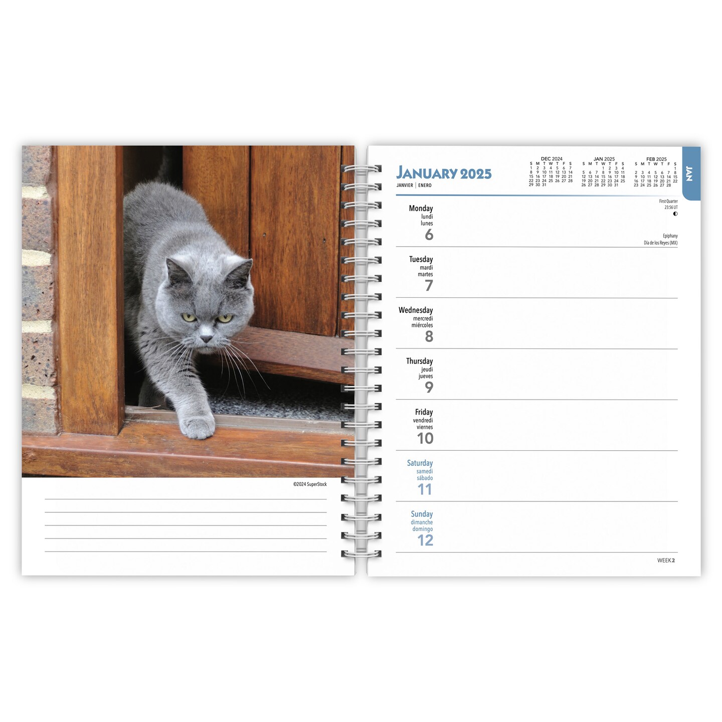 Cat Lovers | 2025 6 x 7.75 Inch Spiral-Bound Wire-O Weekly Engagement Planner Calendar | New Full-Color Image Every Week | BrownTrout | Animals Domestic Kittens Feline