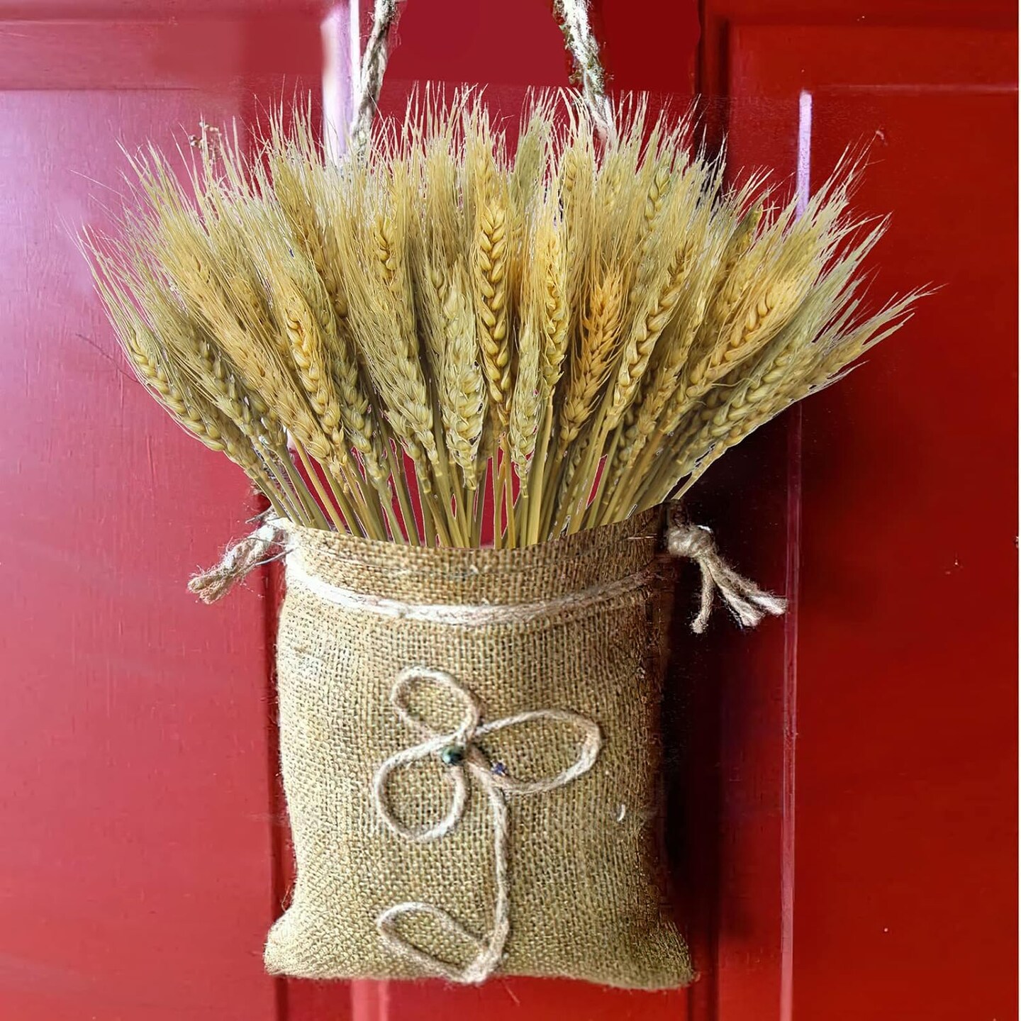 100 pieces of dried wheat stalks, bundle grass, natural dried wheat sheaves stems Dried Flowers Arrangement Bouquet for Wedding Party Table Centrepiece Fall Harvest Wreath: Boho Decor Farmhouse DIY