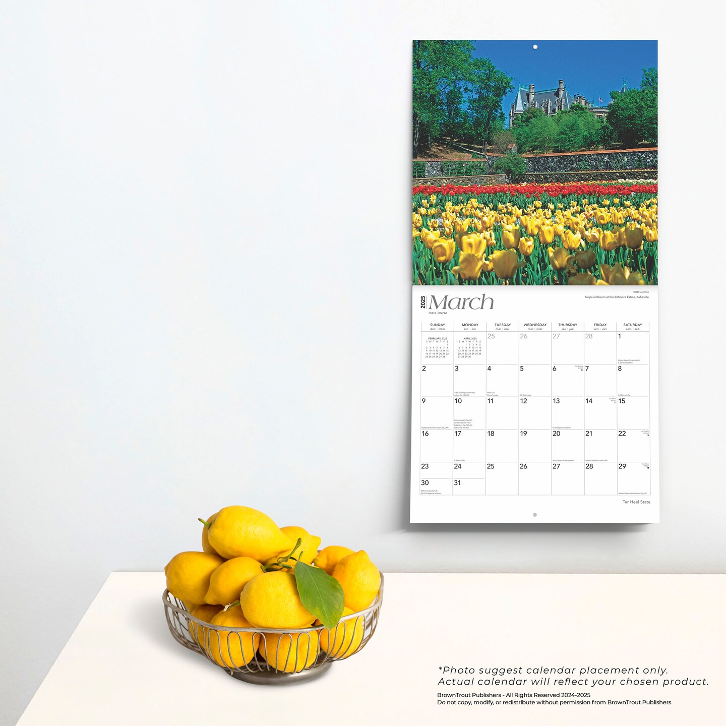 Tar Heel State | North Carolina Places | 2025 12 x 24 Inch Monthly Square Wall Calendar | Plastic-Free | BrownTrout | USA United States of America Southeast State Nature