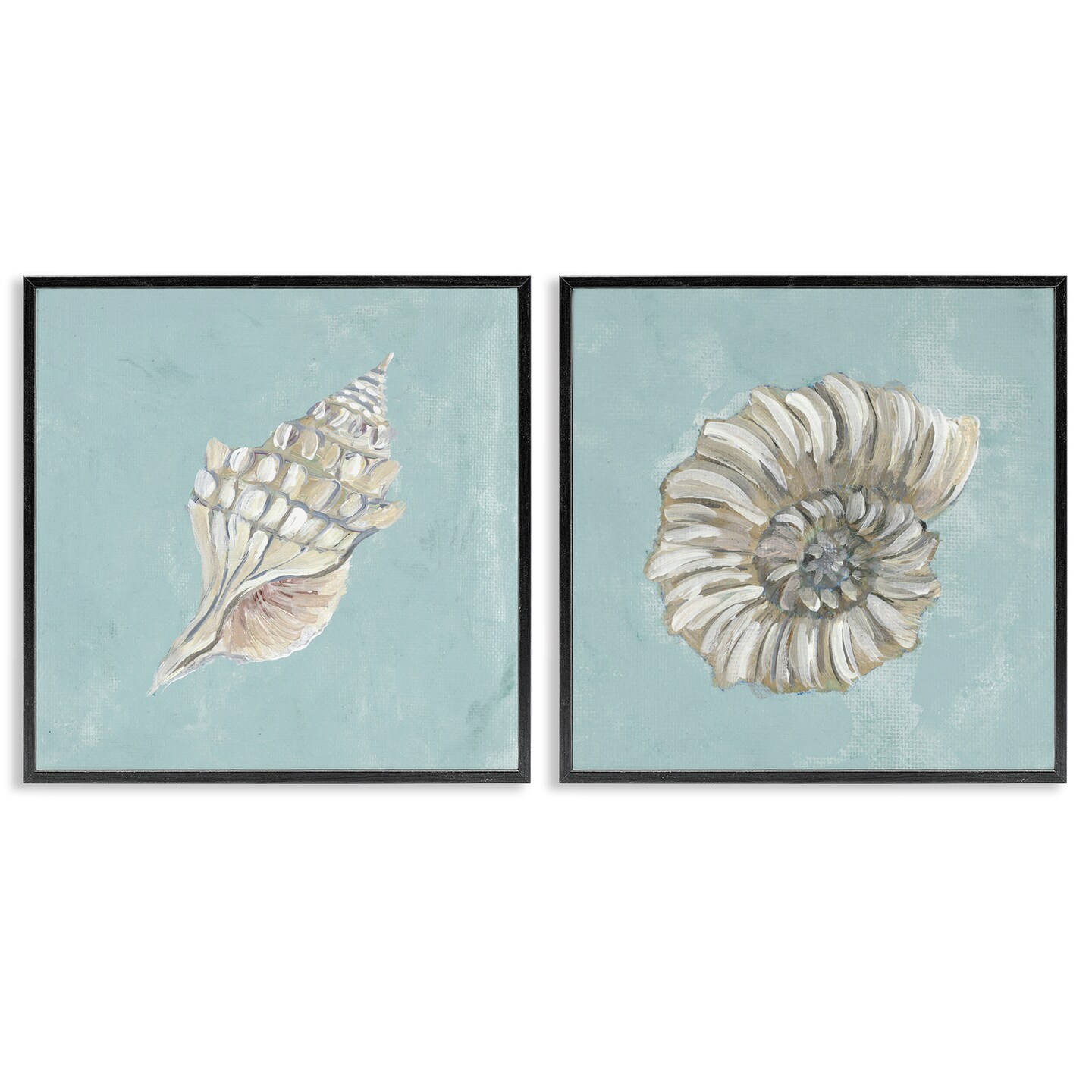 Stupell Industries Nautilus and Conch Seashells 2 pc Framed Giclee Wall Art Set Design by Julie Derice