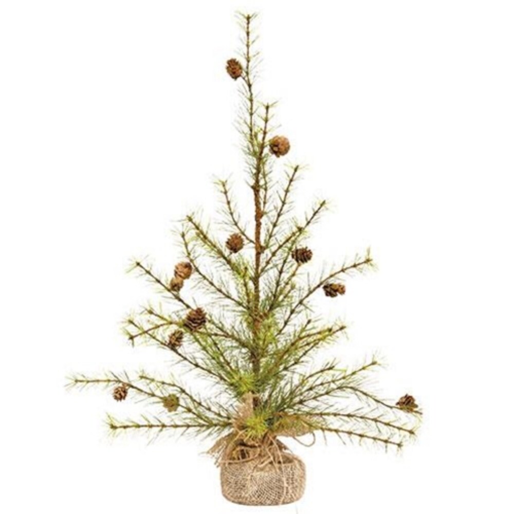 Cypress Pine Tree 2 Ft.