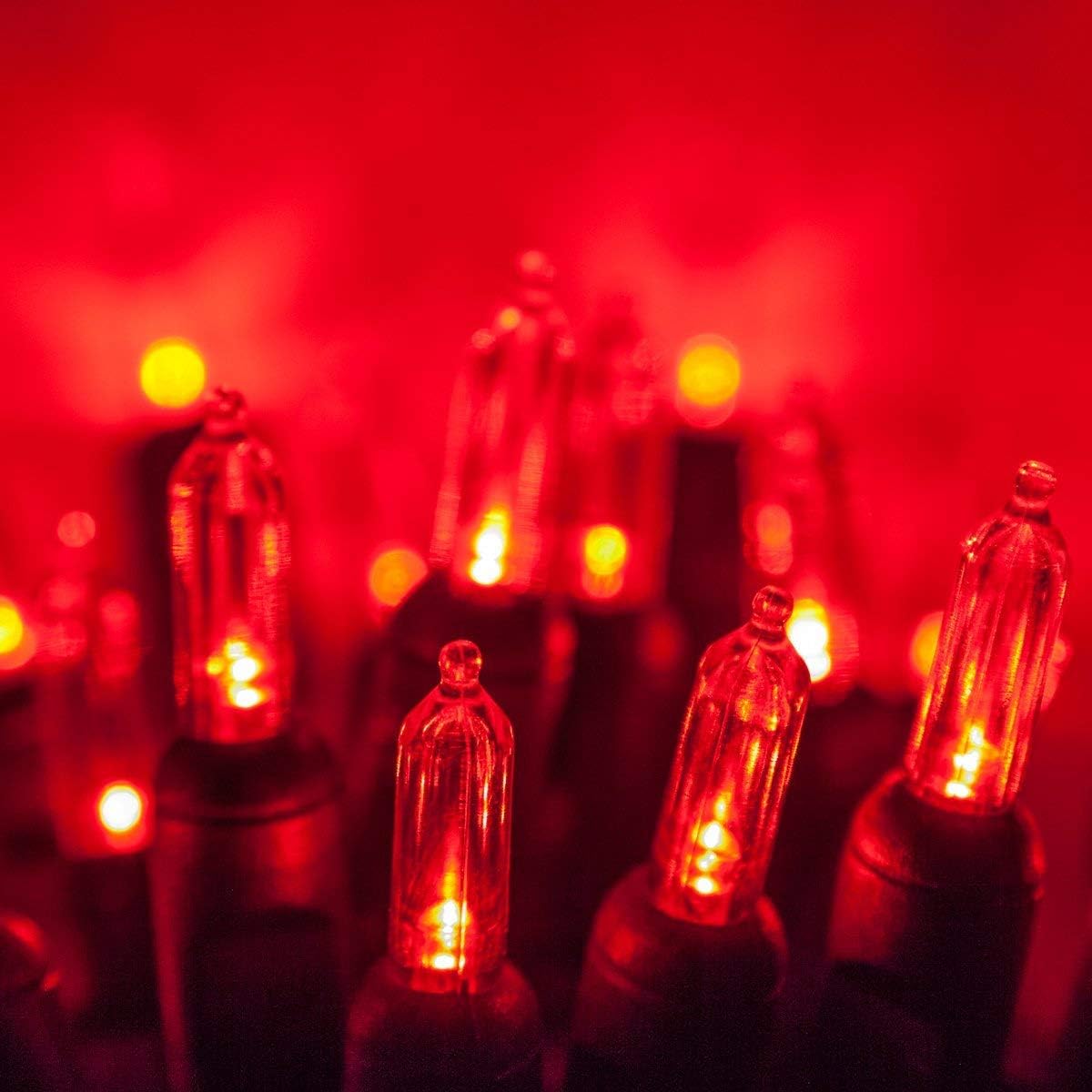 Perfect Holiday 20 LED M5 STRING LIGHTS,4&#x22; BULB SPACING,12&#x22; LEAD WIRE, W/3AA INDOOR BATTERY BOX