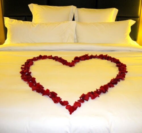 Red Eco-friendly Real Preserved Rose Petals 30 cups - image8