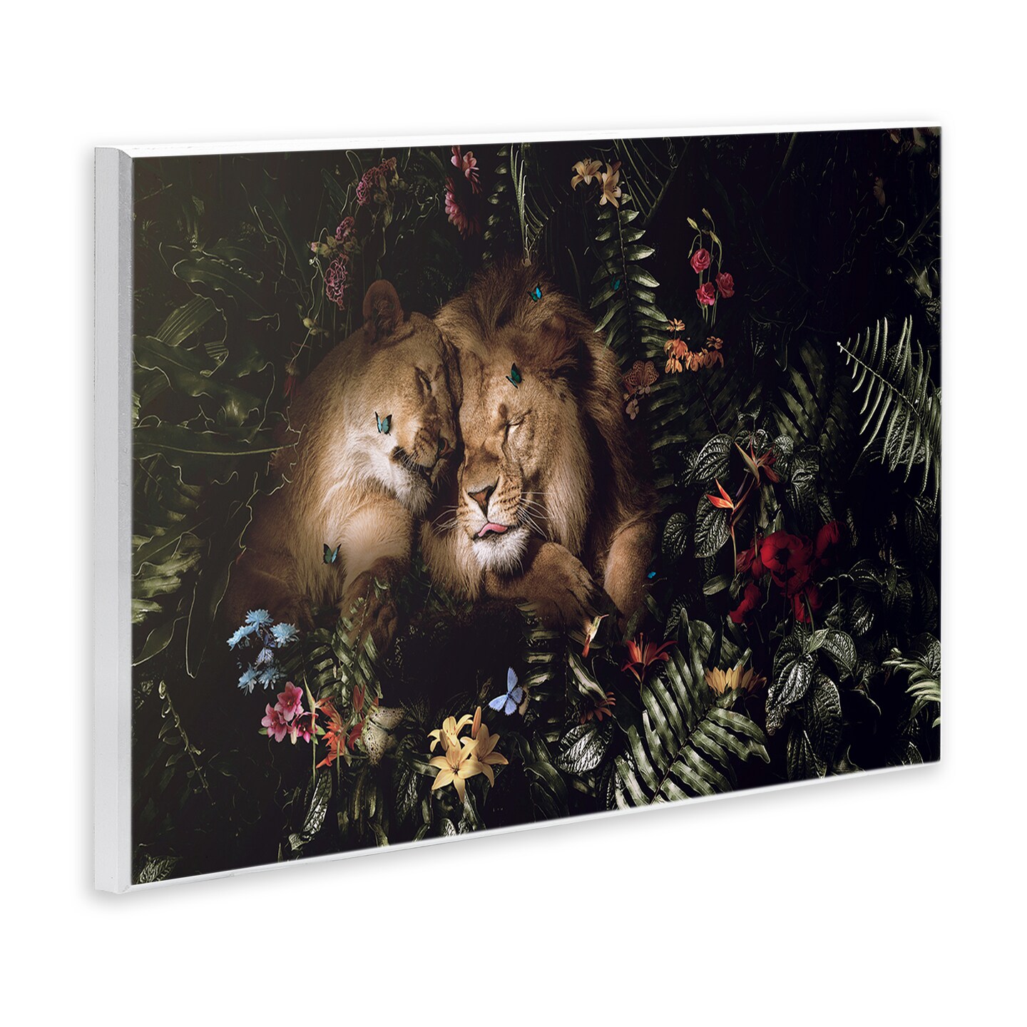 Stupell Industries Cuddling Lions Among Leaves Wall Plaque Art Design by Reinders
