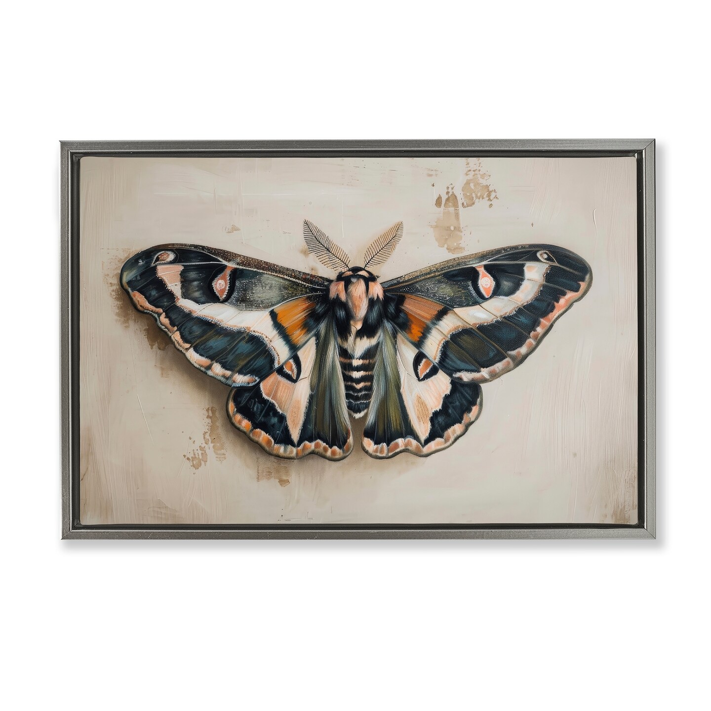 Stupell Industries Dark Winged Moth Framed Floater Canvas Wall Art Design by Petal Prints Design
