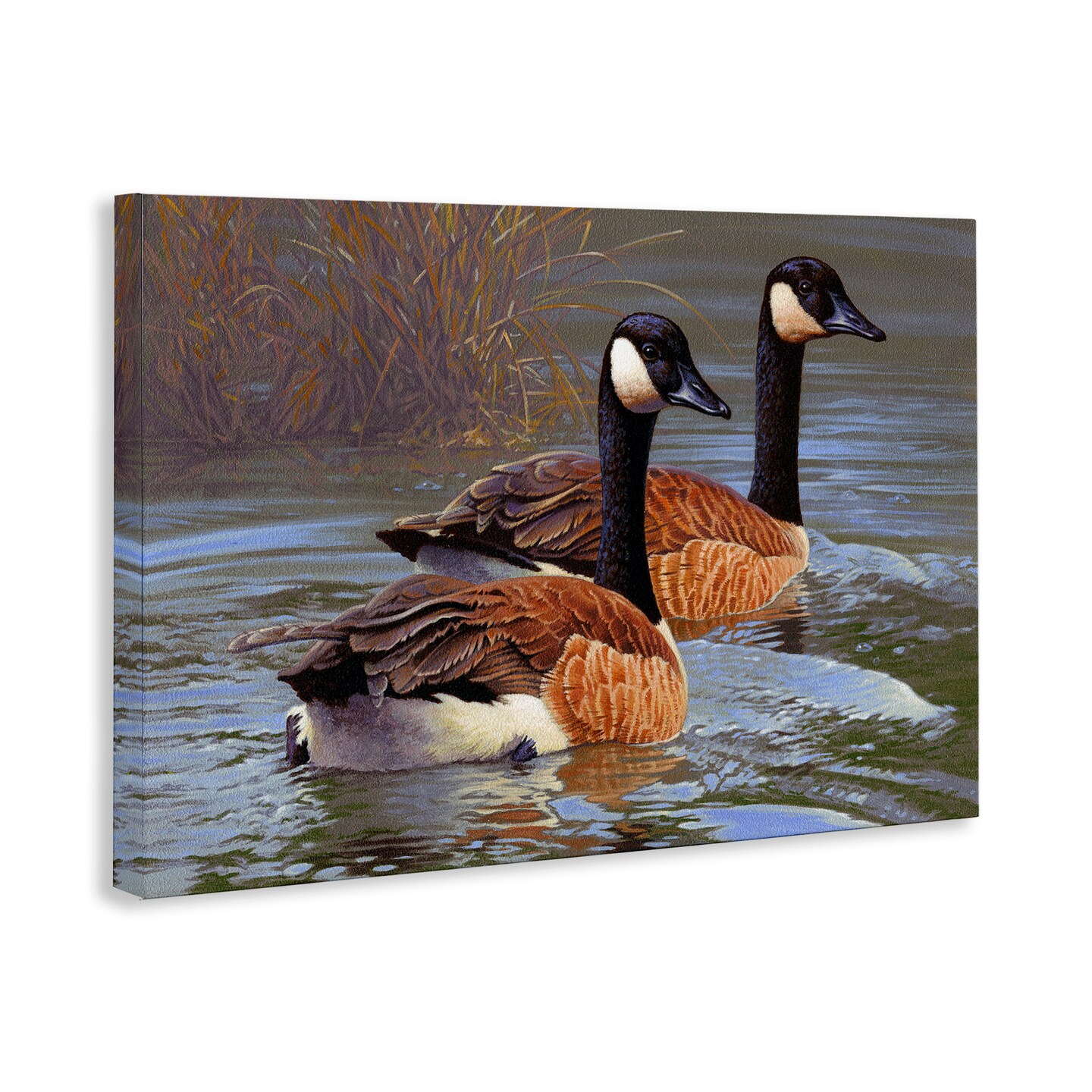 Stupell Industries Backwater Canada Geese Canvas Wall Art Design by Rod Lawrence