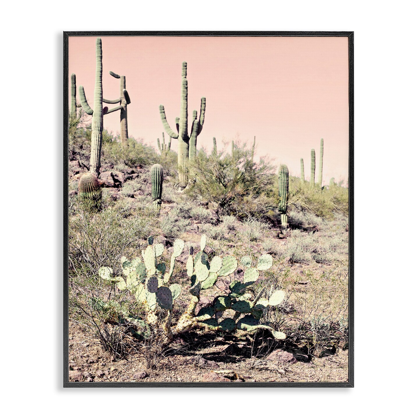 Stupell Industries Rustic Desert Scene Framed Giclee Wall Art Design by Susan Bryant