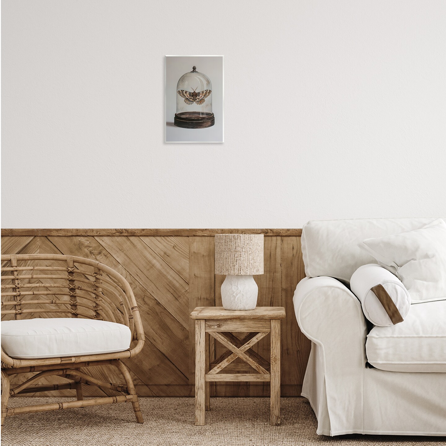 Stupell Industries Moth in Glass Cloche Wall Plaque Art Design by Petal Prints Design