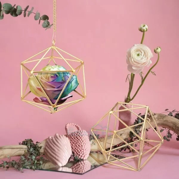 2Pack Metal Geometric Hanging Air Plant Holder Rack Air Pineapple Iron Hanging