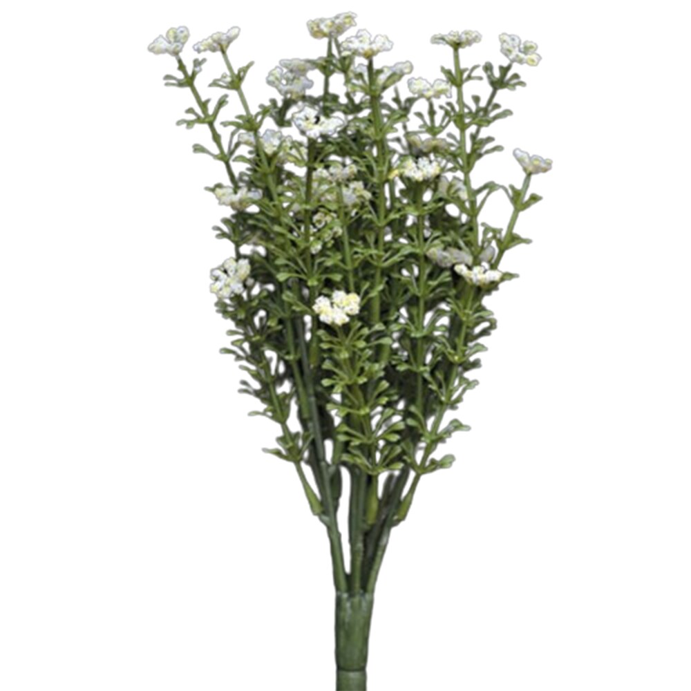 Astilbe Bush With Leafy Stems