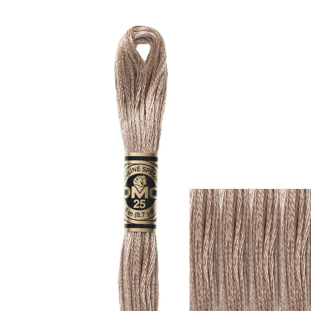 DMC Embroidery Floss, 6-Strand - Beige Brown Light #841 | Michaels