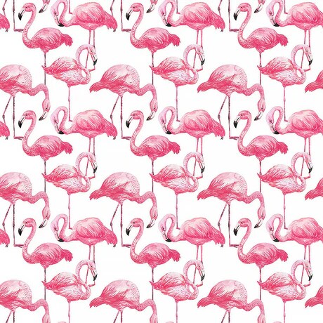 Fabric Northcott White Flamingos Coastal Breeze by the Quarter Yard DP28561-10