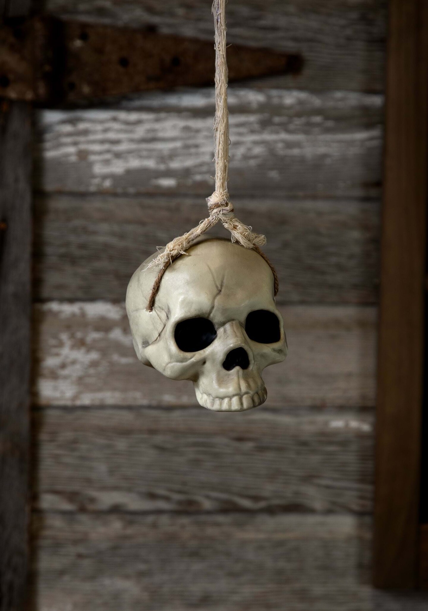 6-Inch Hanging Skull Decoration