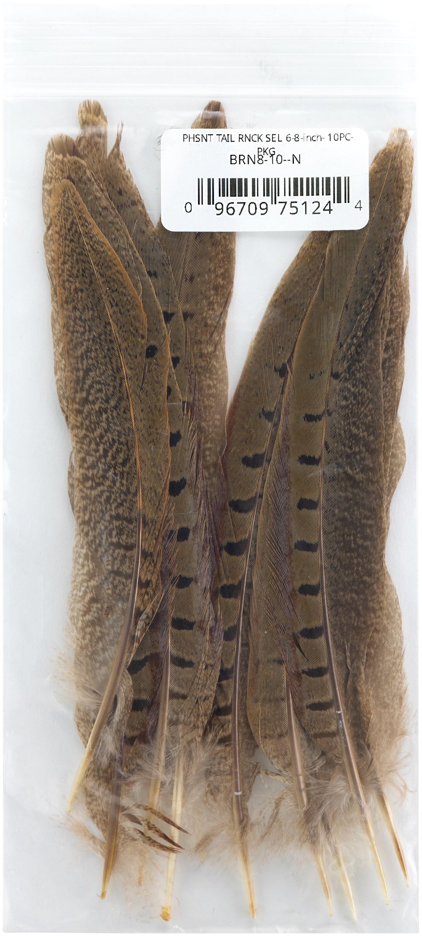 Zucker Ringneck Pheasant Tails 6&#x22;-8&#x22; 10/Pkg-Natural