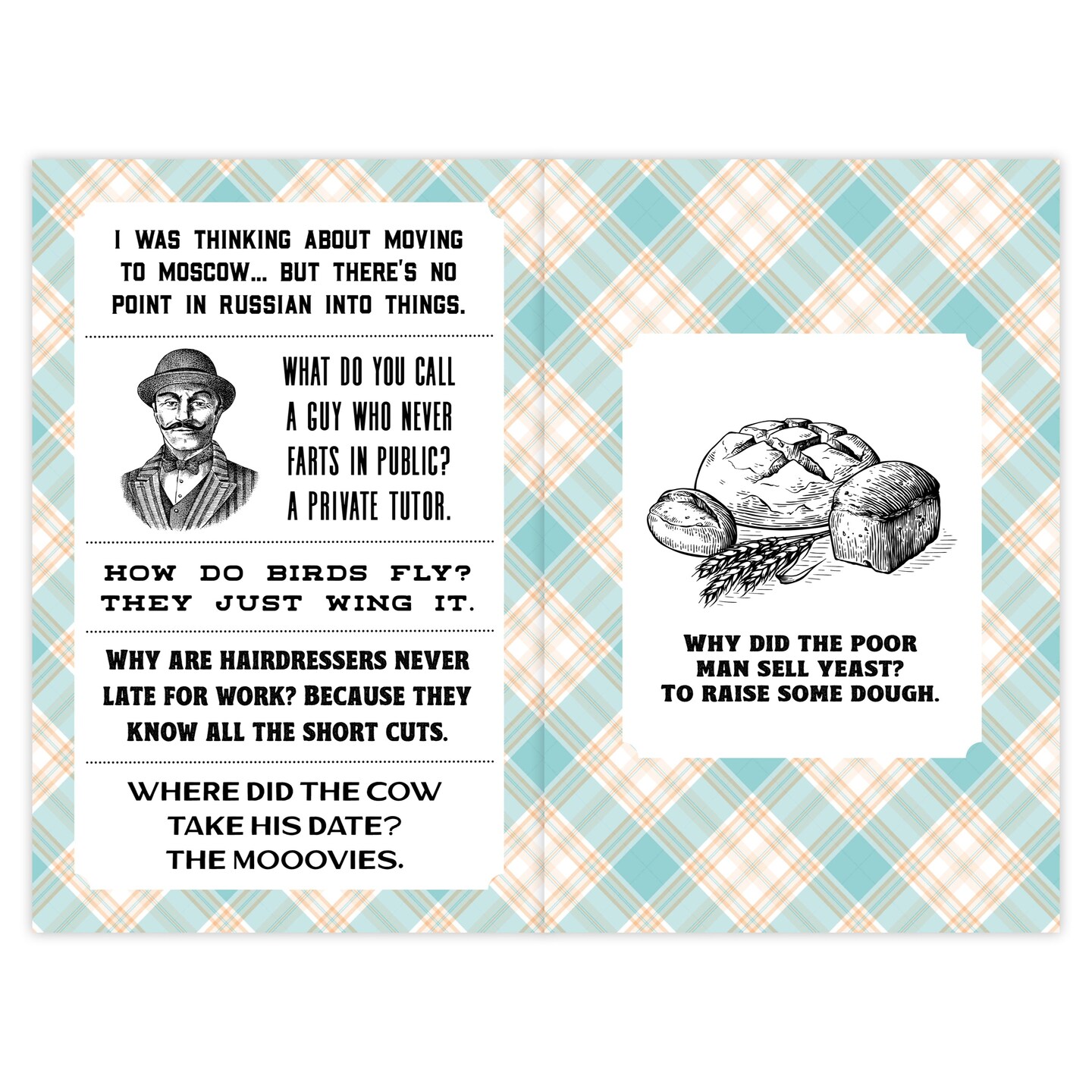 Dad Jokes: A Dad-a-Base Softcover Book