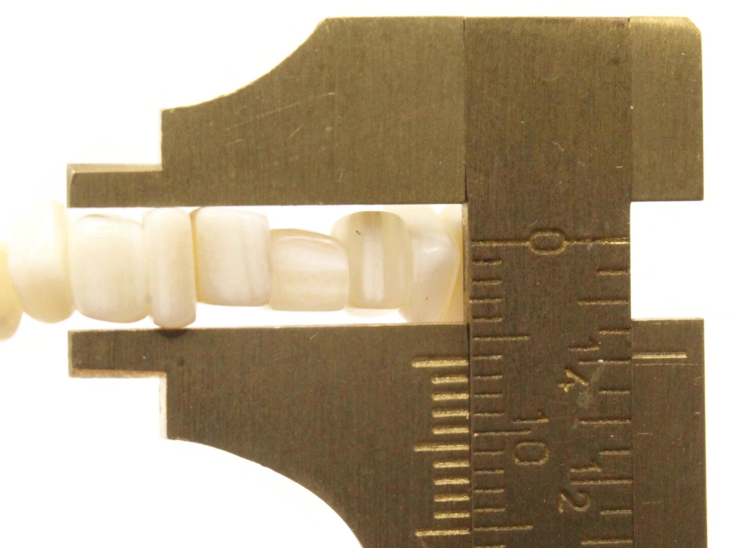 White Shell Bead Chips 36 Inch Strand Beads Dyed Natural Seashell Beads