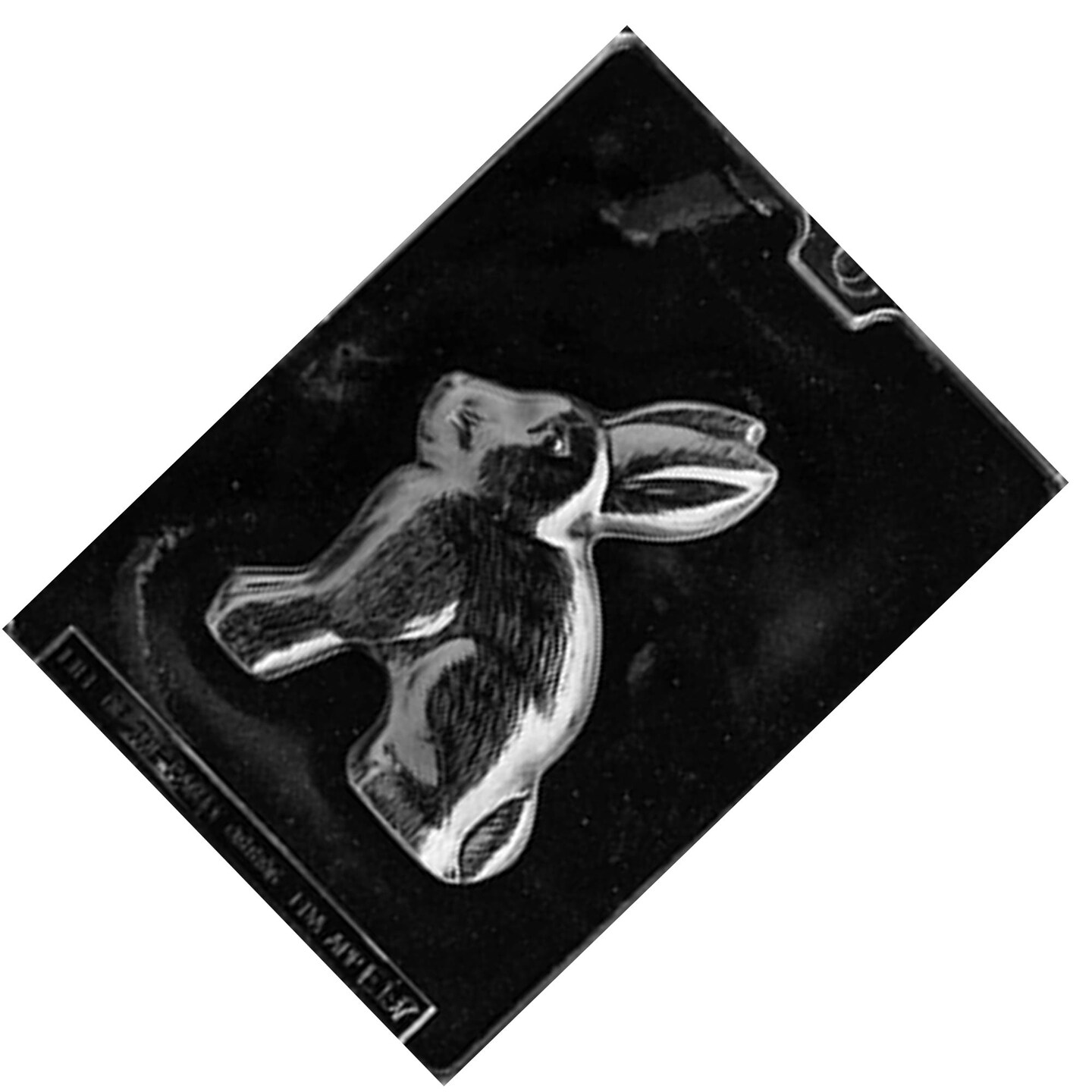 Large Rabbit Chocolate Mold