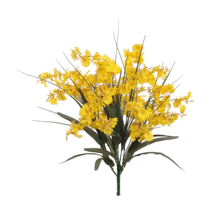 25&#x22; Dancing Orchid Bush - 2 PACK
